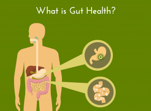 What is gut health?